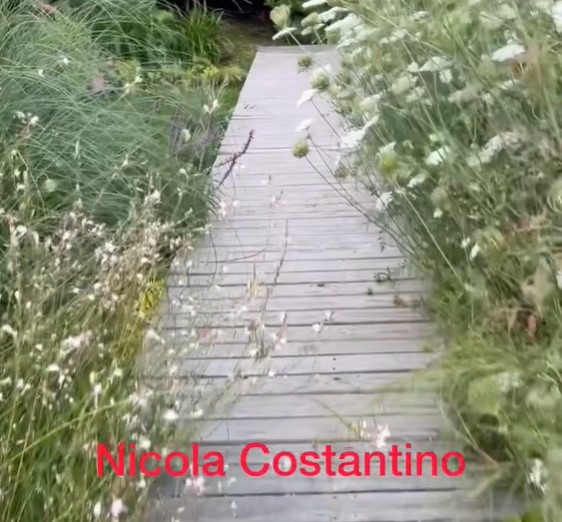 NICOLA COSTANTINO en Espacio Foto Arte por Daniel Benoit Cassou NICOLA COSTANTINO en Espacio Foto Arte por Daniel Benoit Cassou