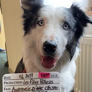 Anatomía de una caída