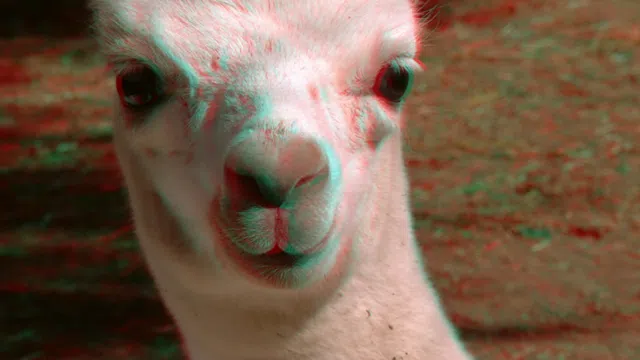 Escuchame una cosa 2023 - Film de Pau Delgado Iglesias - Viernes 16-02-2024 - 19 hs. - Xippas Punta del Este