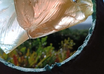 Incrustaciones cotidianas de Boris Romero - Muestra de Arte - 1 al 14 de febrero - Alboretum Lussich