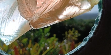 Incrustaciones cotidianas de Boris Romero - Muestra de Arte - 1 al 14 de febrero - Alboretum Lussich