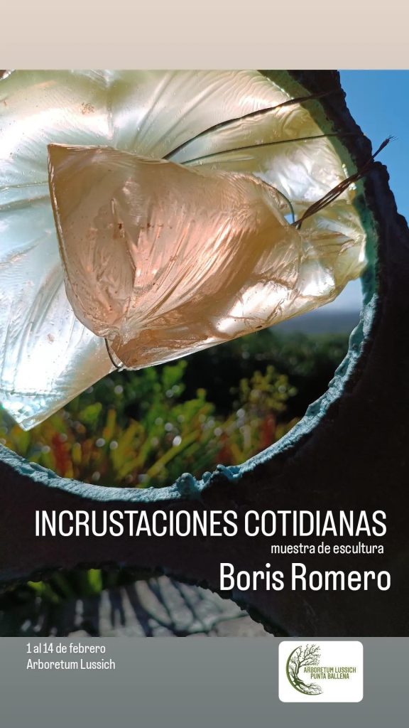 Incrustaciones cotidianas de Boris Romero - Muestra de Arte - 1 al 14 de febrero - Alboretum Lussich