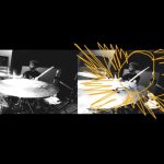 Todo Aparenta Normal - La Dicha de los Cobardes