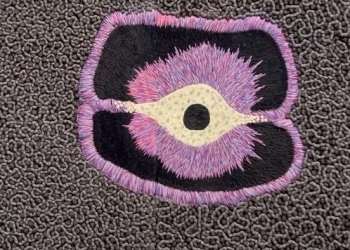 Recorriendo Exposiciones COSMIC GARDEN por Daniel Benoit Cassou