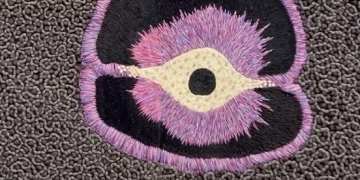 Recorriendo Exposiciones COSMIC GARDEN por Daniel Benoit Cassou