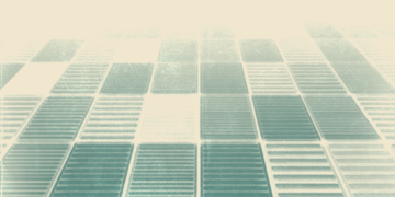 CONTAINER - Excelentes Nadadores
