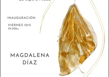 Invitación: viernes 10 /19.30hs en TRIBU Espacio Cultural: Magdalena Díaz expone