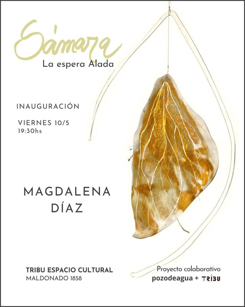 Invitación: viernes 10 /19.30hs en TRIBU Espacio Cultural: Magdalena Díaz expone