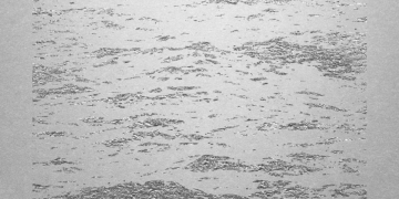 ETÉ Y LOS PROBLEMS ☞ Nuevo álbum "PLATA"