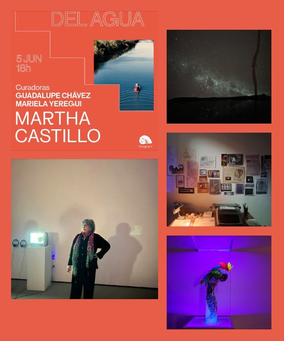 Recorriendo Exposiciones SUSURROS DEL AGUA por Daniel Benoit Cassou