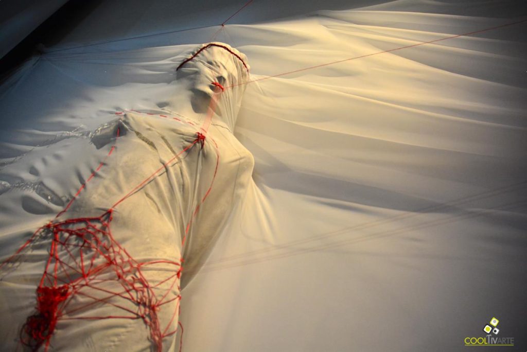 Alejandra González Soca - Instalación - Territorio Infiltrado - Museo Juan Manuel Blanes - Marzo 2018 - Foto © Federico Meneses Alejandra González Soca - Instalación - Territorio Infiltrado - Museo Juan Manuel Blanes - Marzo 2018 - Foto © Federico Meneses