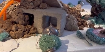 Recorriendo Exposiciones CONQUISTA IV por Daniel Benoit Cassou