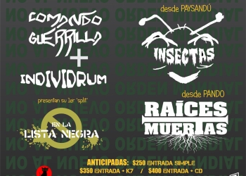 Comando Guerrilla + Individrum