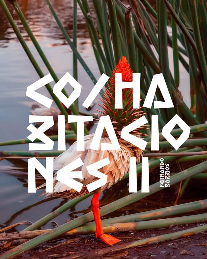 Co-habitaciones - Activación II