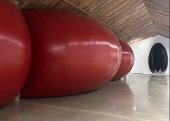 ANISH KAPOOR en Estado de São Paulo - Brasil - Recorriendo Exposiciones por Daniel Benoit Cassou