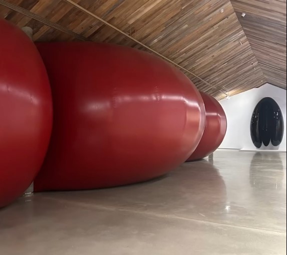 ANISH KAPOOR en Estado de São Paulo - Brasil - Recorriendo Exposiciones por Daniel Benoit Cassou