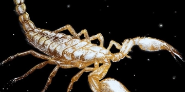 CHARLY GARCÍA presenta su nuevo álbum "LA LÓGICA DEL ESCORPIÓN"