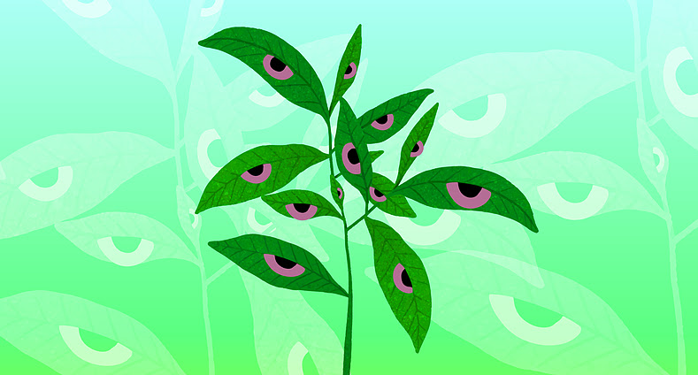 Derecho de vida. Miradas ecofeministas en el arte uruguayo - Curaduría: Lilián Celiberti y Florencia Durán Itzaina - Centro Cultural de España en Montevideo