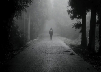 LA TADDEY - chaparron