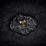 El Color Ausente - Se Pierde La Fuerza