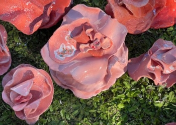 Hongos rosados en los jardines del museo - Adela Casacuberta