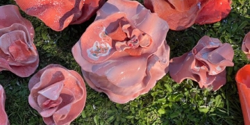 Hongos rosados en los jardines del museo - Adela Casacuberta