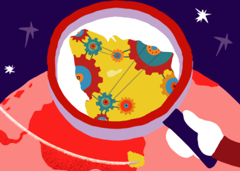 TRANSFORMACIÓN CURRICULAR