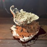 EMILIA DE LAS CARRERAS en Oceanía del Polonio - Recorriendo Exposiciones por Daniel Benoit Cassou