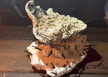 EMILIA DE LAS CARRERAS en Oceanía del Polonio - Recorriendo Exposiciones por Daniel Benoit Cassou