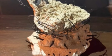 EMILIA DE LAS CARRERAS en Oceanía del Polonio - Recorriendo Exposiciones por Daniel Benoit Cassou