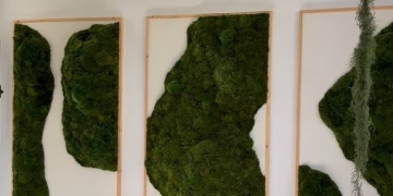 TIllDANSIA - Paloma Teppa en Arenas de José Ignacio - Febrero - Marzo 2025 Curaduría Daniel Benoit Cassou