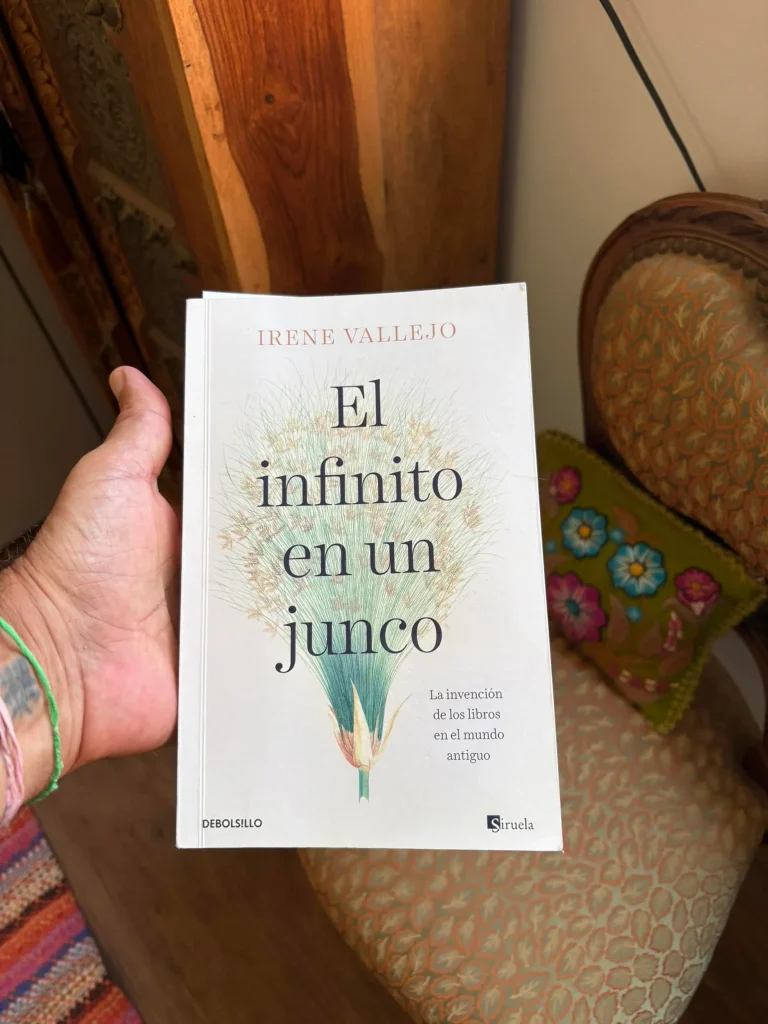 El infinito en un junco de Irene Vallejo