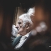 José Pepe Mujica - por pata eizmendi fotografia.jpg