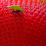 LUGARES COMUNES por Pedro Restuccia