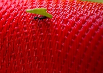 LUGARES COMUNES por Pedro Restuccia