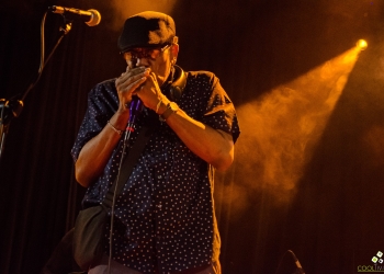 Professor Harp - Sala Camacuá - 26 de marzo 2025 - Fotos Rossana Gaudioso