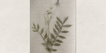 Un cuarto propio del Colectivo La Tijera