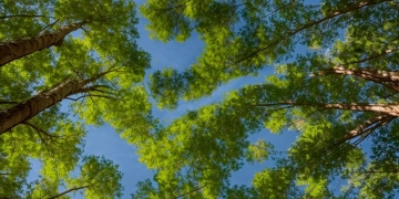 ZEBALLOS LANZA “BULLSHIT 3” JUNTO A NATOS Y WAOR