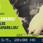 Ácido Canario, María y los aviones y Cuarzo