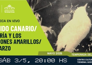 Ácido Canario, María y los aviones y Cuarzo