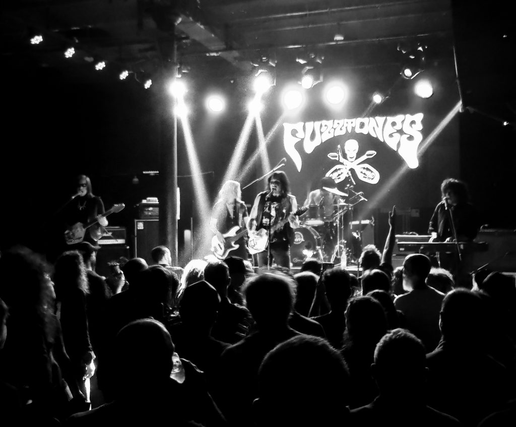 The Fuzztones The Fuzztones