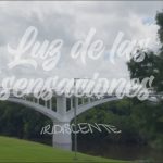 Luz de las sensaciones - Iridiscente