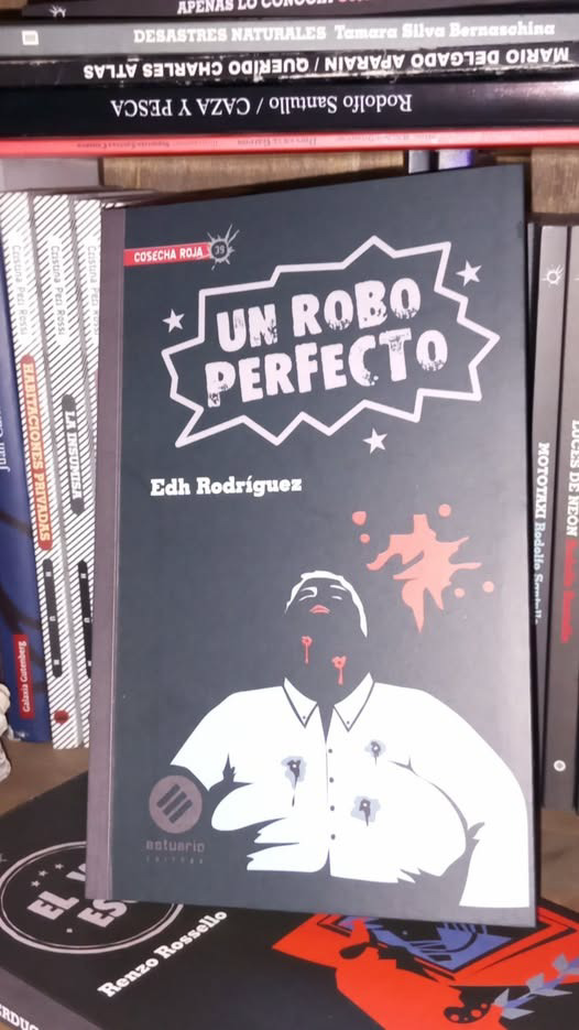 Un robo perfecto - Edh Rodríguez - Fuente Estuario