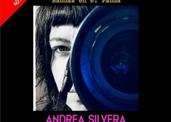 BeeP: Bandas en el Panda es el festi de bandas y expo de Panda Rojo Espacio Cultural!