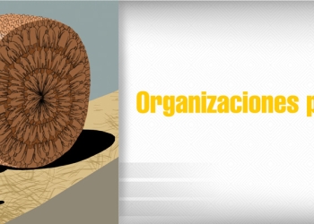 Tribunal Supremo Electoral de Bolivia