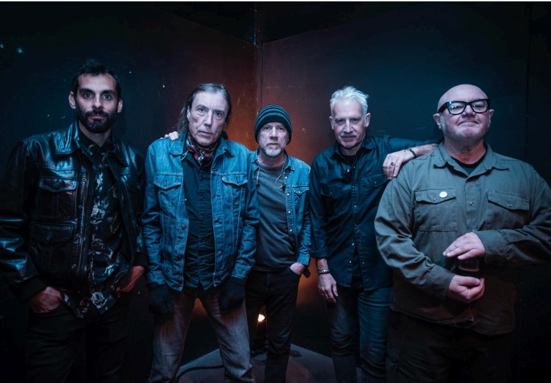 BUITRES EN VIVO EN SITIO: 4 DE OCTUBRE 2025