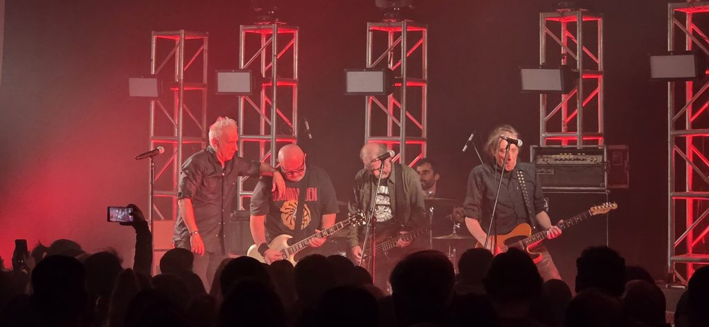 BUITRES EN SAN JOSÉ - Julio 2025 - Foto Ignacio Fernández