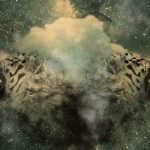 imagen en espejo de un tigre blanco rugiendo