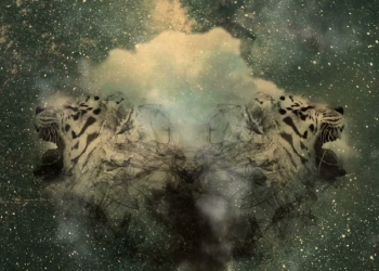 imagen en espejo de un tigre blanco rugiendo