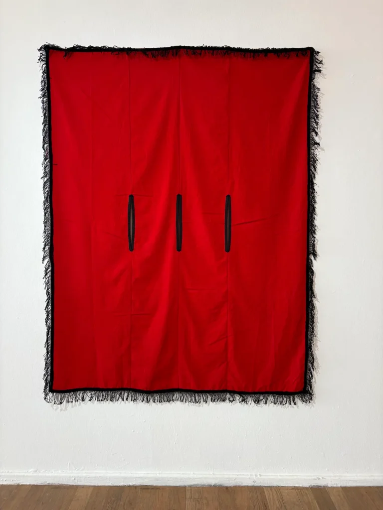 Museo de Arte Contemporáneo de Salta